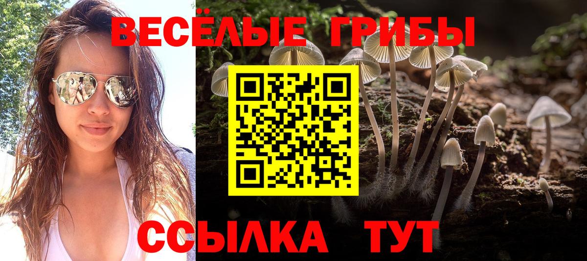 Белорецк  продажа наркотиков  Вход с VPN  Псилоцибиновые грибы Psilocybe 